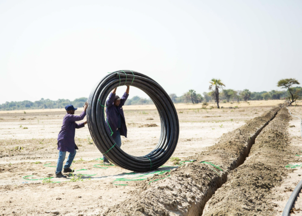 Two workers wheel a wound circle of pipeline taller than themselves up to a long narrow trench dug for installation